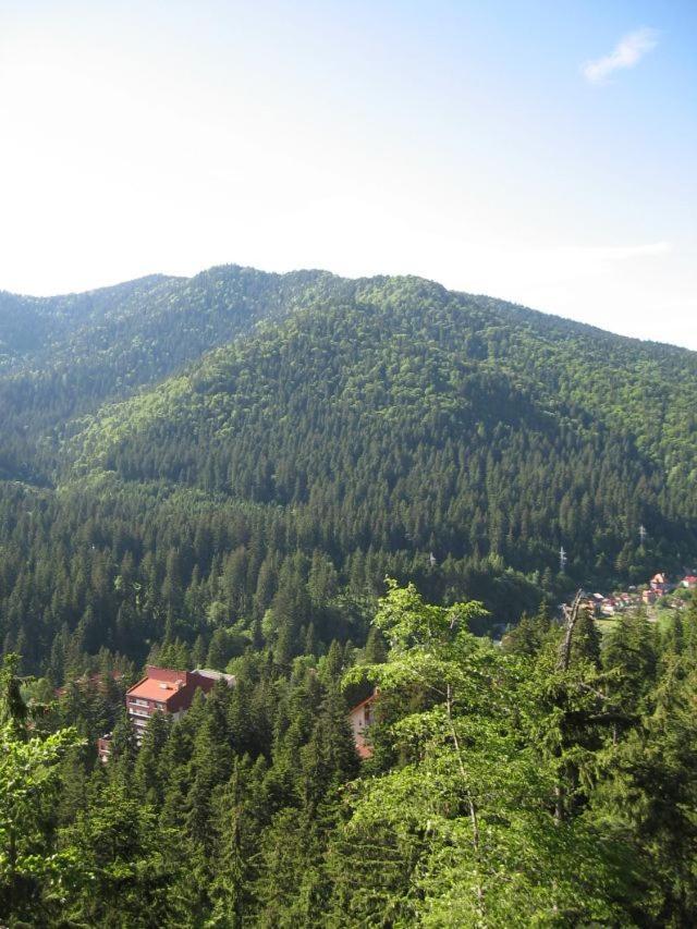 Hotel Antonia BaileTusnad Zewnętrze zdjęcie